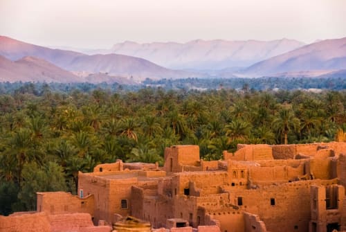 palm groves and Atlas Mountains at sunset, Marrakesh