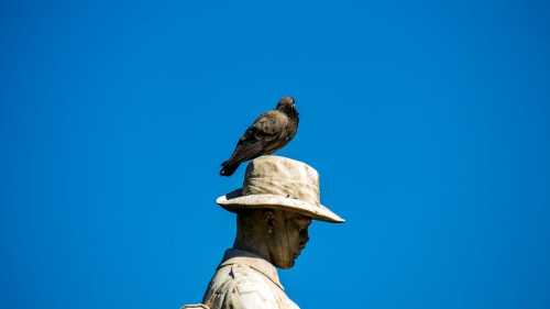 Statue wearing hat with pigeon perched on top against blue sky, Glasgow landmark near Arrochoile B&B