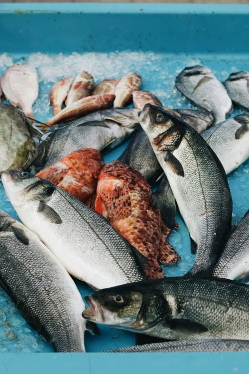 Poissons frais exposés sur surface bleue à Trouville-sur-Mer, sélection de fruits de mer locaux de l'Hôtel Le Trouville