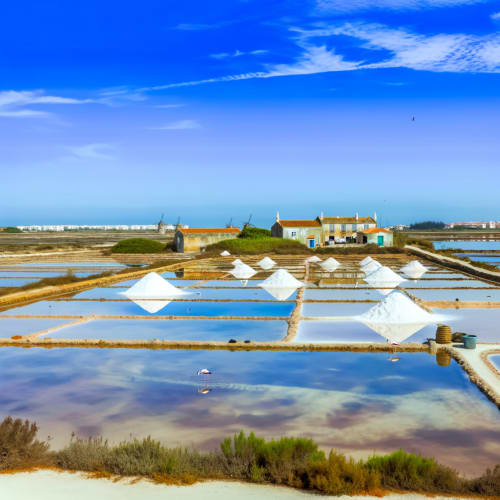 Uma foto das salinas de Castro Marim, com os montes de sal e os moinhos ao fundo.