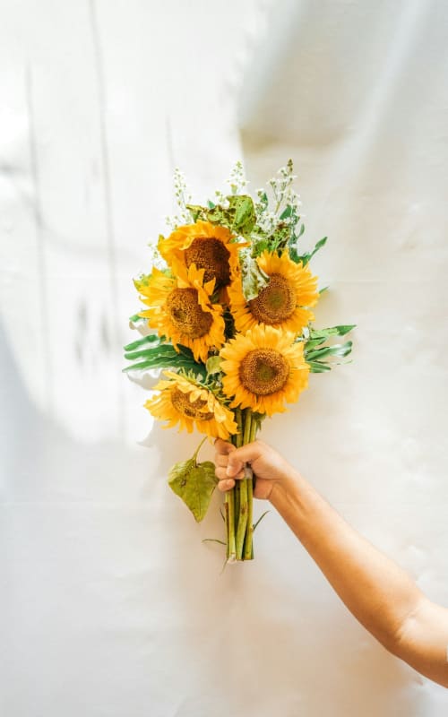 Sunflowers in Provence