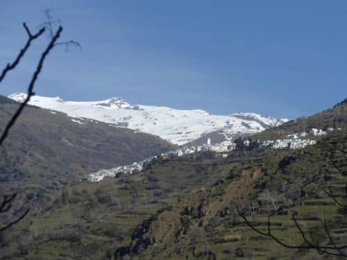 Capileira desde sus maravillosos paseos donde admirar la cumbre de la península Ibérica. Salidas de paseos desde la misma puerta de Casa Josefa. 