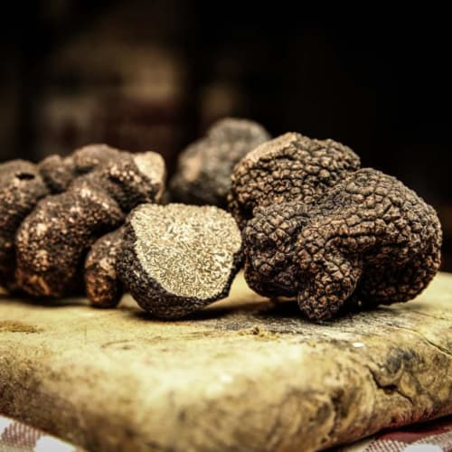 Truffes fraîches présentées à Maisonaurinko, une maison d'hôtes gastronomique à Thenon, France