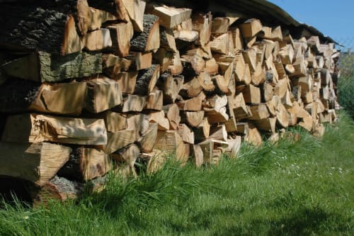 Le tas de bois dans le verger du Clos Delamare