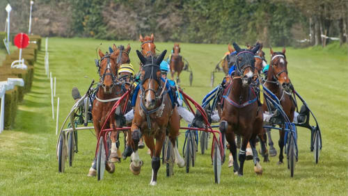 Courses de trot attelé à l'Hôtel Le Trouville à Trouville-sur-Mer, France