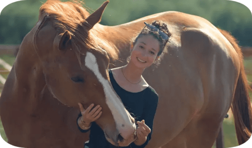 Equicoaching