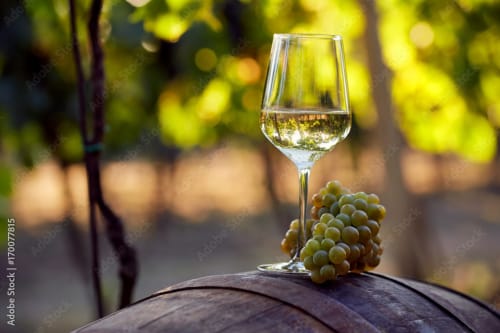White wine glass with green grapes on wooden barrel at Locacharme hotel in Blois, France vineyard