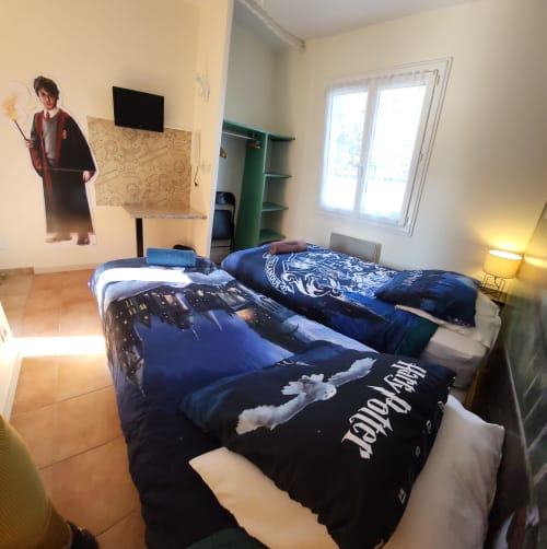 Chambre thématique Harry Potter à l'Hôtel Cheverny avec lits jumeaux, literie bleu foncé, TV et vue sur le jardin à Cheverny, France