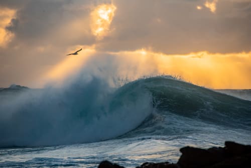 Waves Fuerteventura at sunset