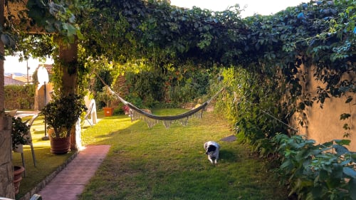 Exuberante jardín de Casa Rural Villa del Jerte con hamaca, césped verde, plantas en macetas y perro en El Torno, Cáceres