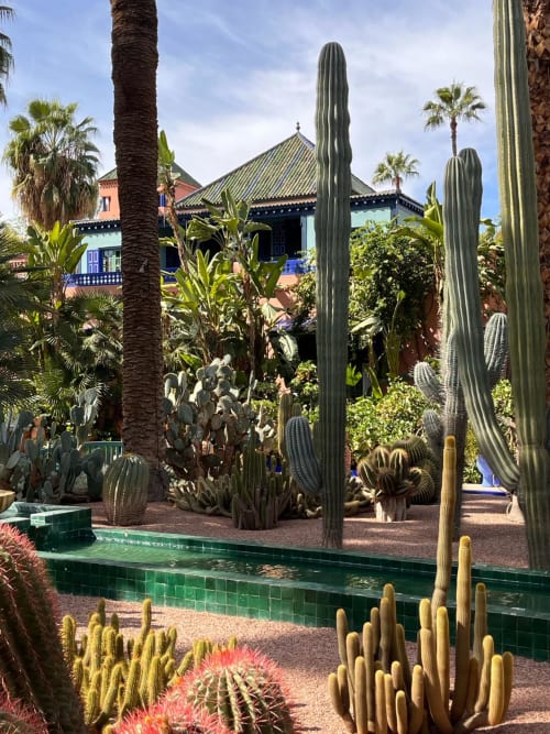 Exotic cactus garden at Riad Palau Marrakech with traditional Moroccan architecture and tiled water feature