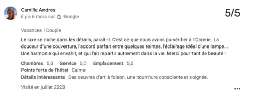 Avis 5 étoiles de Camille Andres sur Google pour la Domaine de l'Ocrerie B&B à Pourrain, louant les détails luxueux et l'ambiance