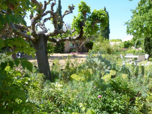 Lush garden at Villa Thébaïde with gnarled grapevine tree, Mediterranean herbs, and terrace seating in Laudun L'Ardoise