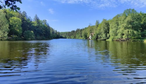 étang eau hasselfurth activité extérieur plein air nature