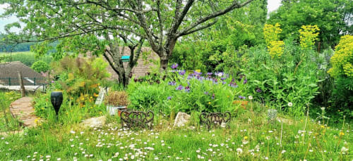 Jardin luxuriant de La Dragonne B&B à Bellême avec fleurs en fleur, arbres et bancs ornementaux