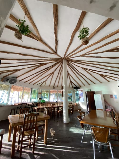 Restaurant with healthy, vegan and vegetarian options