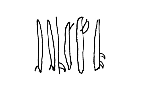 surfboards