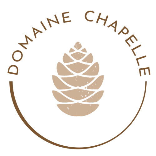 Logo Domaine Chapelle La Chapelle la Reine Fontainebleau Ile de France Paris lieux séminaires au vert séjour