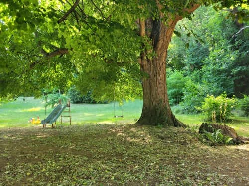 Jardins communs - Gites Le Vieux Vinzelles-Gites -Auvergne - Puy-Dome