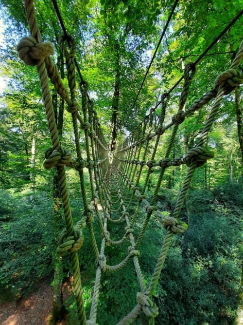 Pont d'accrobranche