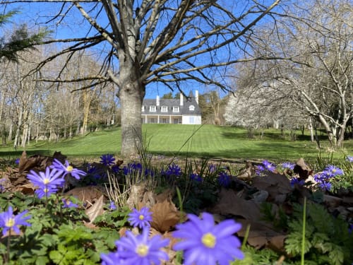 Des fleurs violettes encadrent le manoir majestueux du Domaine de Bize à Mirepoix, en Ariège, entouré de jardins printaniers et d'arbres matures