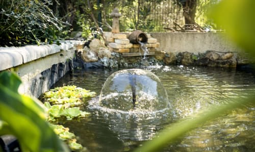 Bassin tranquille du jardin avec fontaine en pierre au Domaine à l'Aise, Saint-Pargoire, entouré de plantes aquatiques et de verdure luxuriante