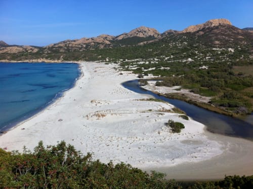 Plage de l'Ostriconi