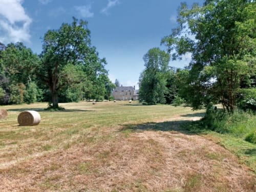 View of the manor house from the back of the park