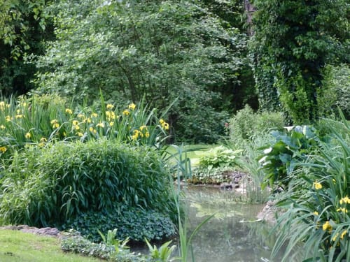Jardin aquatique paisible au Clos du Buisson avec iris jaunes et verdure luxuriante à Saint Aubin sur Gaillon