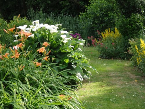 Jardin fleuri avec fleurs blanches, orange et violettes au Clos du Buisson BnB à Saint Aubin sur Gaillon