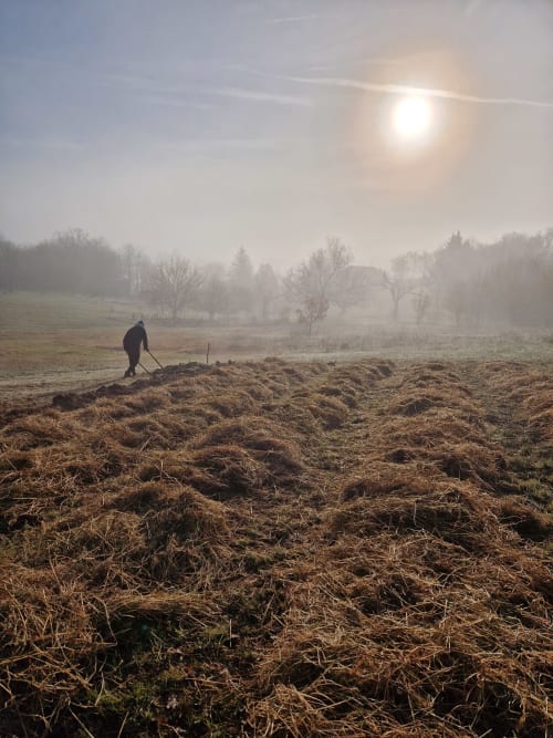 Personne travaillant dans un champ rural brumeux près de Thénon, France au gîte champêtre Maisonaurinko