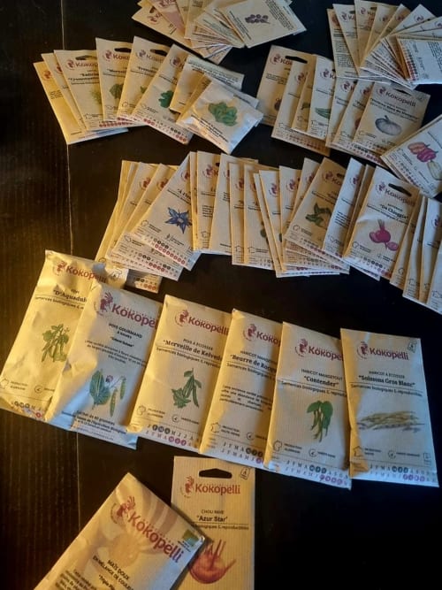 Collection de sachets de graines Kokopelli exposée à la maison d'hôtes Maisonaurinko à Thénon, France