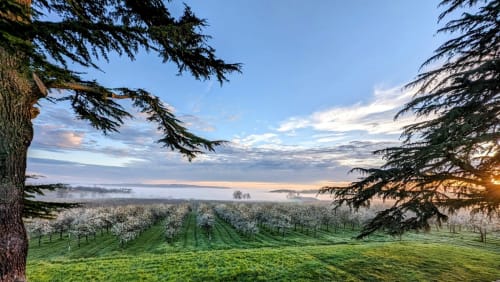 Perfecte locatie
Het rustige platteland

Wijngaard tours

Voedselmarkten

Kajak aan de Dordogne

Verken middeleeuwse steden

Compostela Route

Treinstation Sainte-Foy

Luchthavens Bergerac, Bordeaux en Toulouse