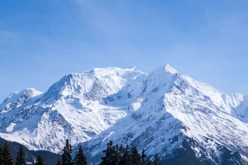 Les pics enneigés du Mont-Blanc surplombent la forêt de conifères près du Chalet Mont-Blanc à Chamonix