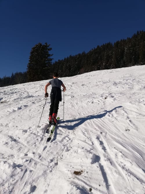 Skier ascending snowy slope with forest backdrop near Aime la Plagne, France