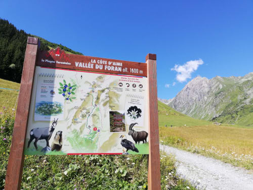 Informational sign for Vallée du Foran at 1600m in Aime la Plagne with Alpine landscape and wildlife illustrations