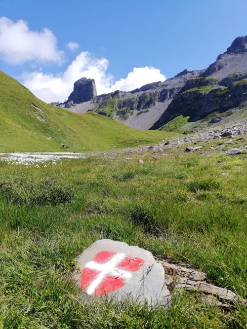 Alpine hiking trail with red and white waymark near Aime la Plagne, French Alps