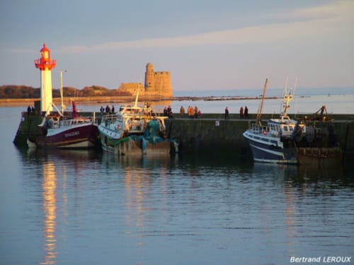 Bateaux de pêche amarrés au port de Saint-Vaast-la-Hougue avec phare et tour historique au coucher du soleil