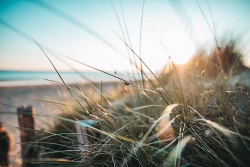 Coastal beach grasses at sunset overlooking turquoise sea, L'Ermitage Saint-Vaast-la-Hougue