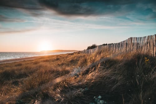 Coastal beach dunes at sunset near L'Ermitage B&B in Saint-Vaast-la-Hougue, France with wooden fence and golden grass