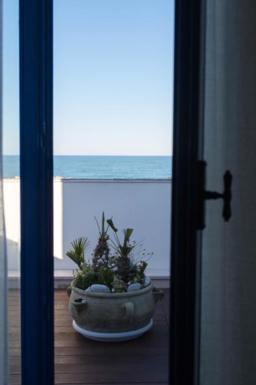 Potted succulents on wooden balcony with sea view at Le Vajane B&B in Torino di Sangro, Italy