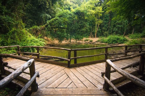 Terrazza in legno affacciata sul tranquillo fiume circondato da foresta verde lussureggiante, Le Vajane B&B a Torino di Sangro