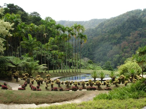 jardin de balata, martinique, plantes tropical 