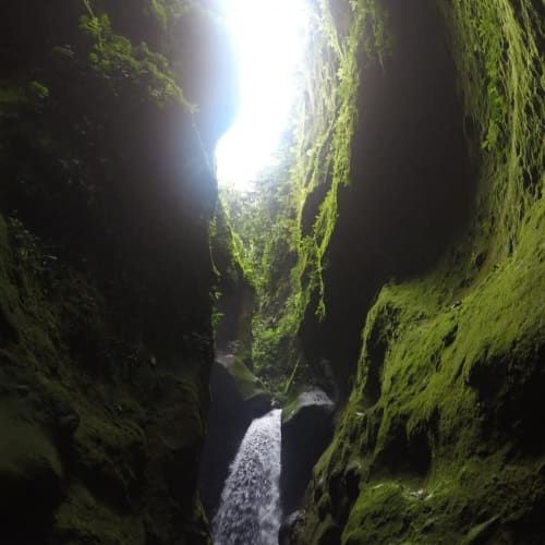 les gorges de la falaise, martinique, randonnée