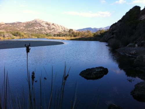 Etang derrière la plage de l'Ostriconi