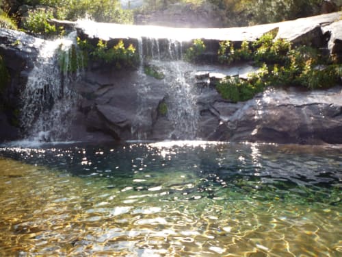 Foret de Bonifatu