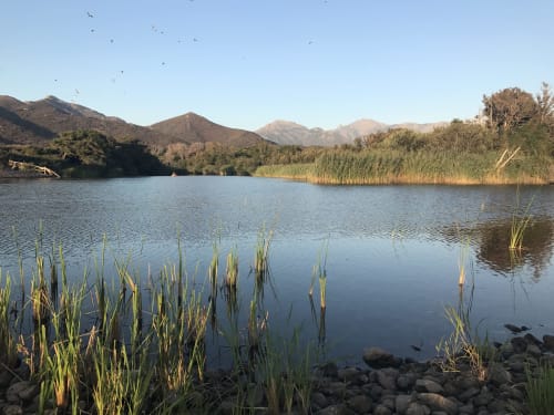 Estuaire du Fangu