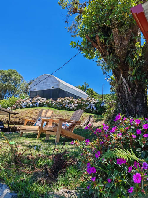 Wooden Adirondack chairs facing a modern chalet surrounded by blue hydrangeas at Chalets Vistas del Poas, Heredia Costa Rica