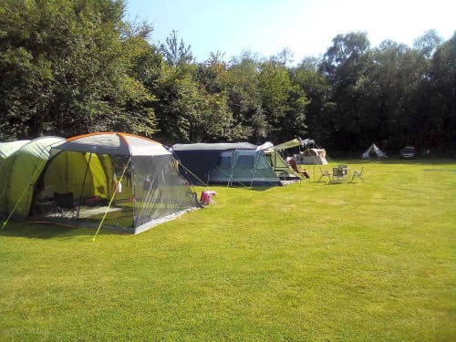 Green tent camping area at Postwood Gardens Campsite in Kentisbeare with multiple tents on grass and trees
