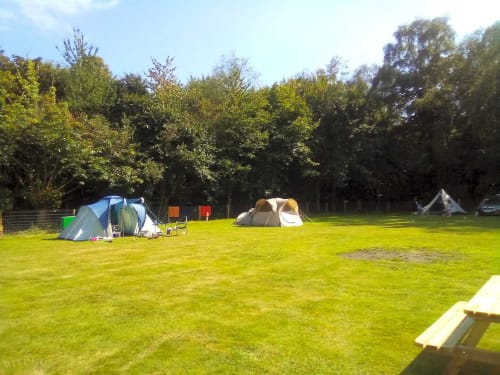 Postwood Gardens Campsite in Kentisbeare features pitched tents on spacious green grounds surrounded by trees.